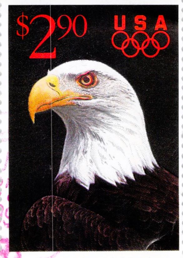 Bald Eagle and Olympics Rings