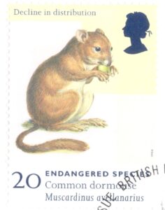 Stamps Endangered Species