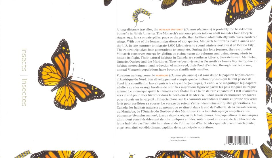Monarch Butterfly