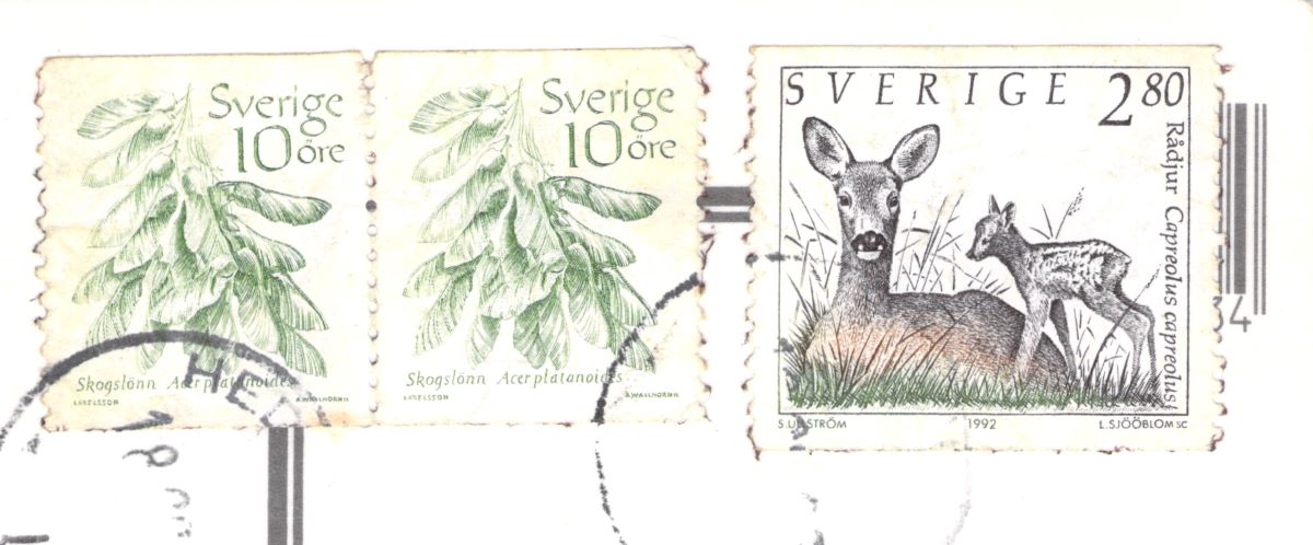 1992 Sweden Roe Deer Postcard