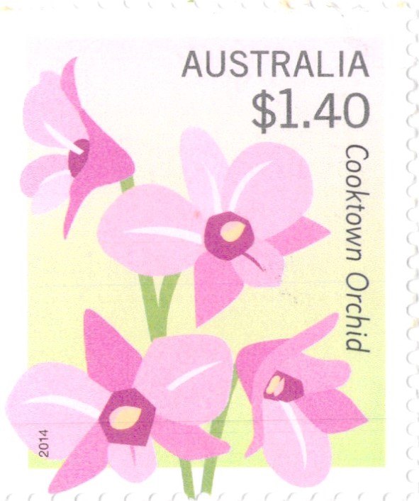 Cooktown Orchid Stamp