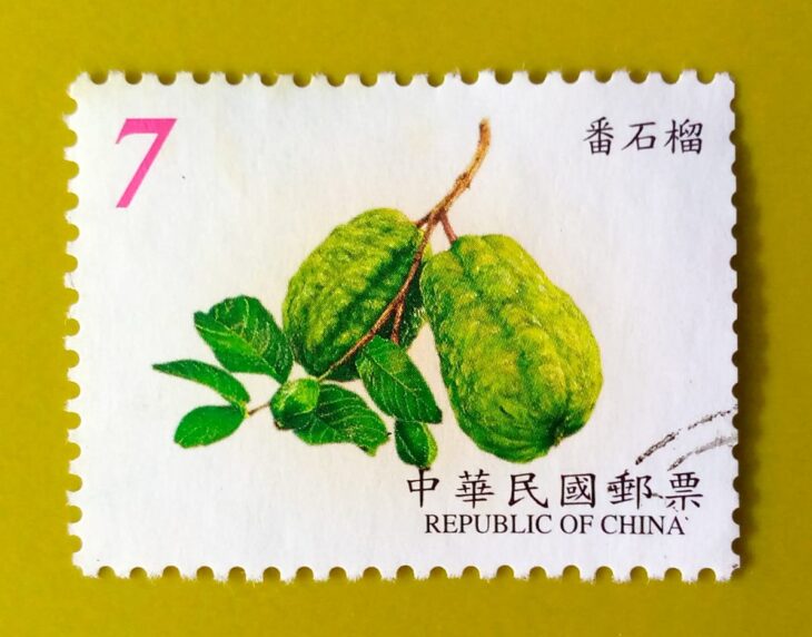 Issue:      China Psidium Guajava (Guava) Taiwan Stamp Type:     Stamp Number of Stamps:       2 Denominations:       7  ¥ Issue Date:        2001 Issued By:      China post