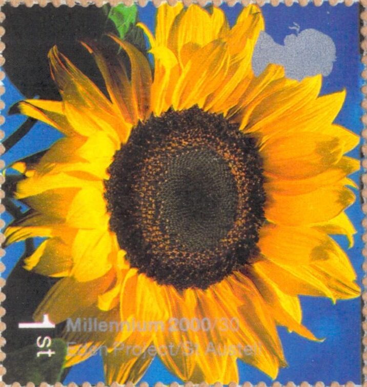 Millennium 2000 Eden Project/St Austell Stamp