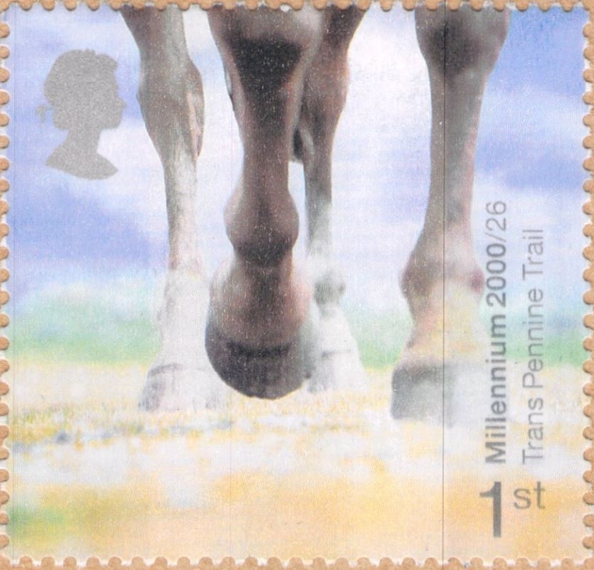 Millennium 2000 Trans Pennine Trail STAMP