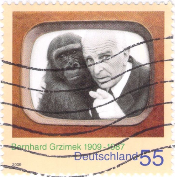 Deutschland Bernhard Grzimek 2009 Stamp