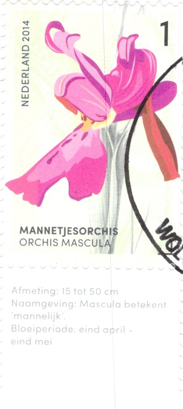 Netherland Mannetjes Orchis Orchis Mascula Stamps