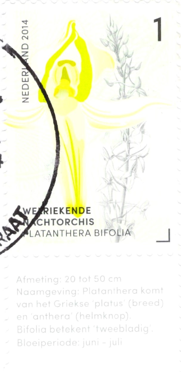 Netherland Platanthera Bifolia Stamp 2014