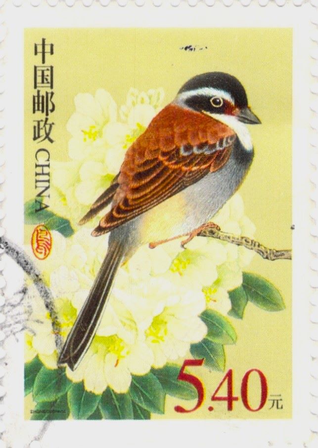 Tibetan Bunting China Stamp