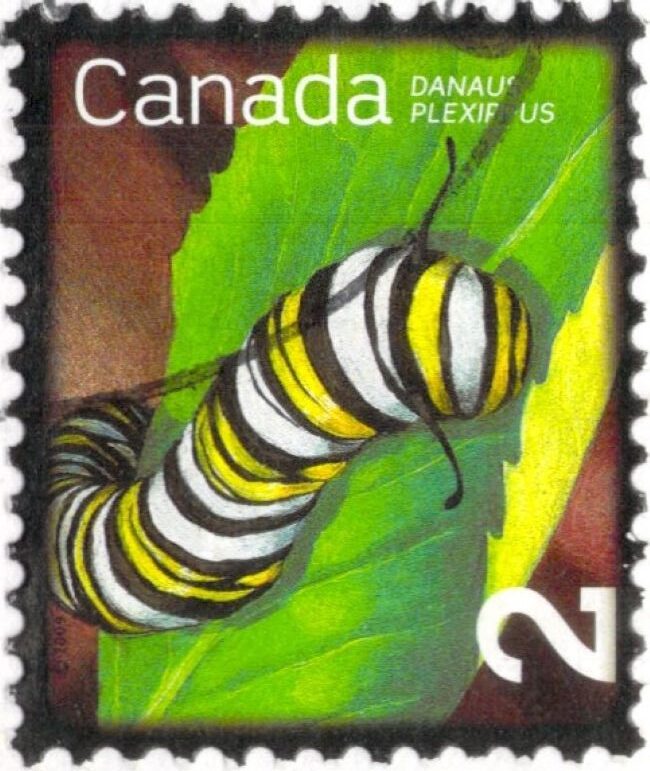 Canada Danaus Plexippus Stamp