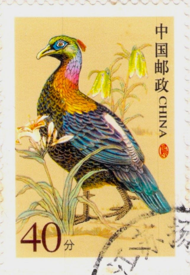 Monal Lophophorus lhuysii Stamp