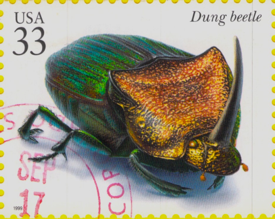 Dung beetle USA Stamp 1999 - Stamps Art Museum