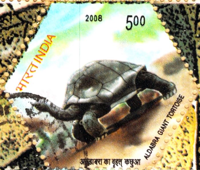 India Aldabra Giant Tortoise Stamp