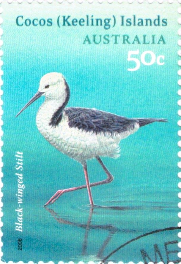 Black Winged Stilt Cocos Islands Australia 2008 Stamp