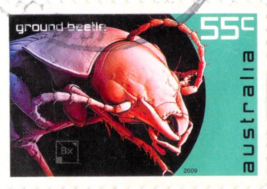 Australia Ground Beetle Stamp 2009