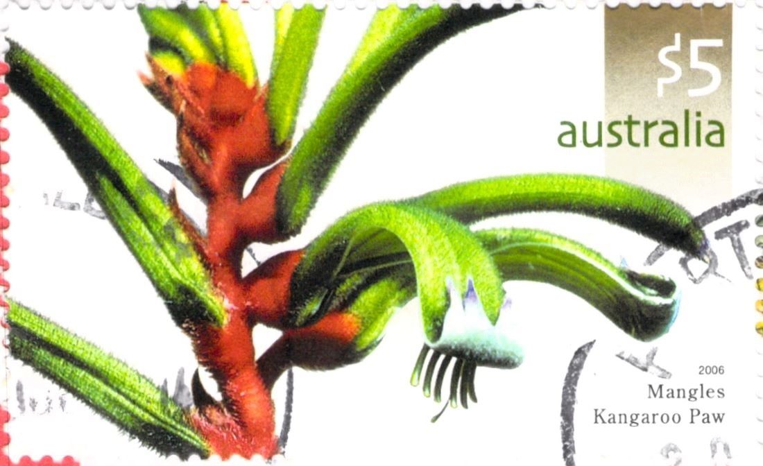 Australia Mangles Kangaroo Paw Stamp