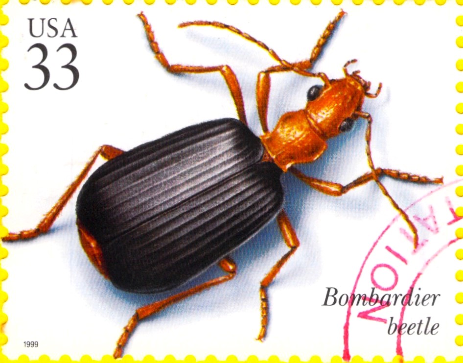 USA Bombardier Beetle 1999 stamp