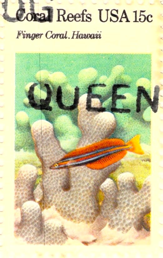 USA Coral Reefs Finger Coral Hawaii Stamp