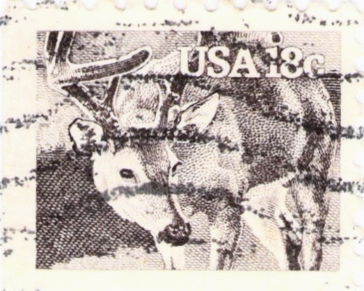 American Wildlife White Tailed Deer Stamp