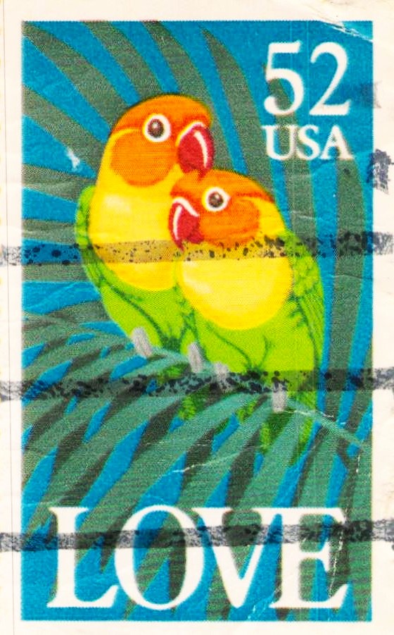 Issue: USA Fischer Lovebird Stamps Series Type: Stamp Number of Stamps: 1 Stamps Denomination: 52c Issue Date: 1991 Issued By: United States Postal Service (USPS)