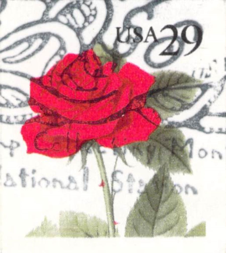 Issue: USA Red Rose Stamp Type: Stamp Number of Stamps: 1 Stamps Denomination: 29c Issue Date: 1993 Issued By: United States Postal Service (USPS)