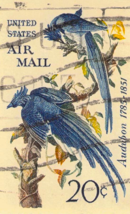 Issue:  U.S.A Audubon Stamp Stamp Type:  Stamp Number of Stamps:  1 Stamps Denomination:  20c Issue Date:   Issued By: United States Postal Service (USPS)
