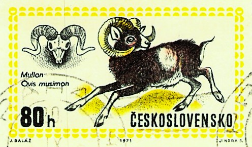 Issue:  Czechoslovakia 80h Stamp 1971 Type:  Stamp Number of Stamps:  1 Stamps Denomination:  80h Issue Date:  1971 Issued By:   Czechoslovakia Postal Service (USPS)