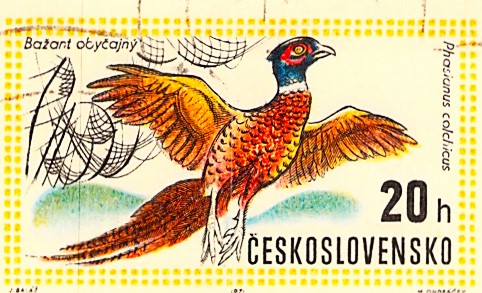 Issue:  Czechoslovakia Phasianus Colchicus Stamp 1971 Type:  Stamp Number of Stamps:  2 Stamps Denomination:  20h Issue Date:  1971 Issued By:  Czechoslovakia Postal Service (USPS)