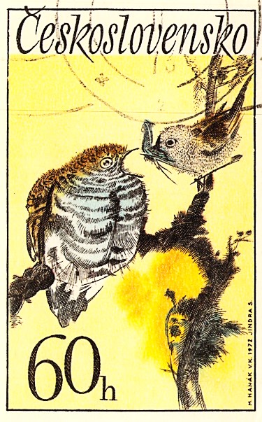 Issue:  Czechoslovakia 1972 Songbirds Stamp Type:  Stamp Number of Stamps:  1 Stamps Denomination:  60 h Issue Date:  1972 Issued By:  Czechoslovakia Postal Service (USPS)