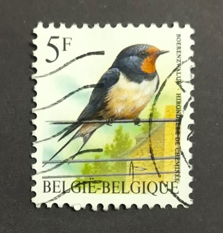 Issue:   Belgium 1992 Swallow Bird Buzin Stamp Type:   Stamp Number of Stamps:   1 Denominations:   5  F Issue Date:   1992 Issued By:   Bpost, Belgium (Belgique-Belgie)