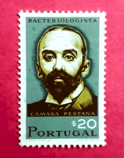 Issue:   Portugal 1966 Bacteriologist Camera Pestana Stamp Type:   Stamp Number of Stamps:   1 Stamps Denomination:   20 $ Issue Date:   1966 Issued By:   Portugal POST