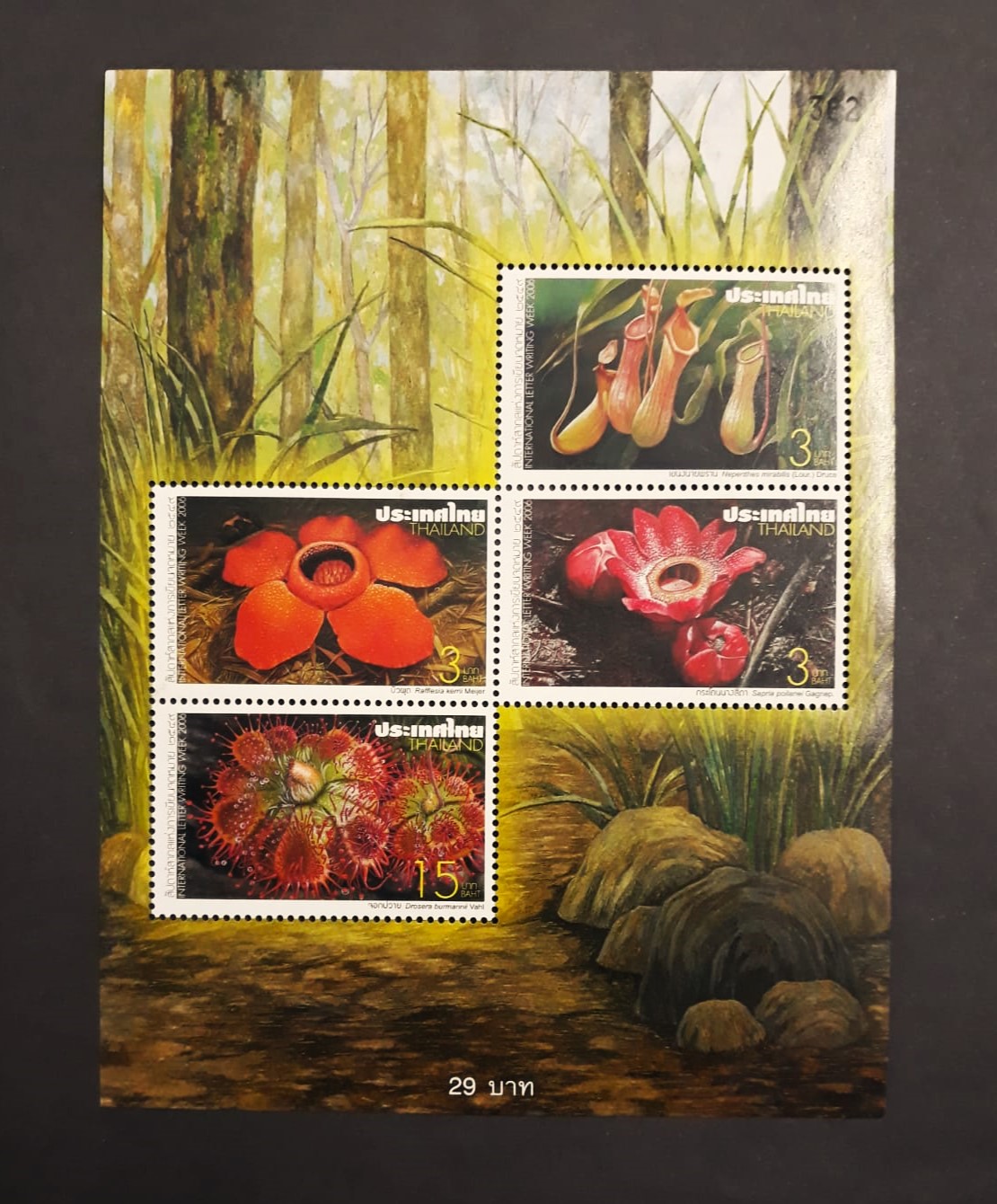 Issue:   Thailand 2006 Carnivorous Plants Souvenir Sheet  Type:   Souvenir Sheet Number of Stamps:   4 Stamps Denomination:   29 Baht Issue Date:    2006 Issued By:   Thailand Post