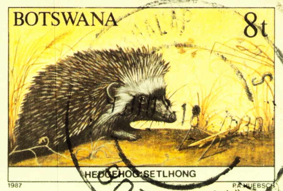 Issue:    Botswana 1987 Hedgehog Stamp Type:   Stamp Number of Stamps:   1 Stamps Denomination:   8 T Issue Date:   1987 Issued By:   Botswana Post