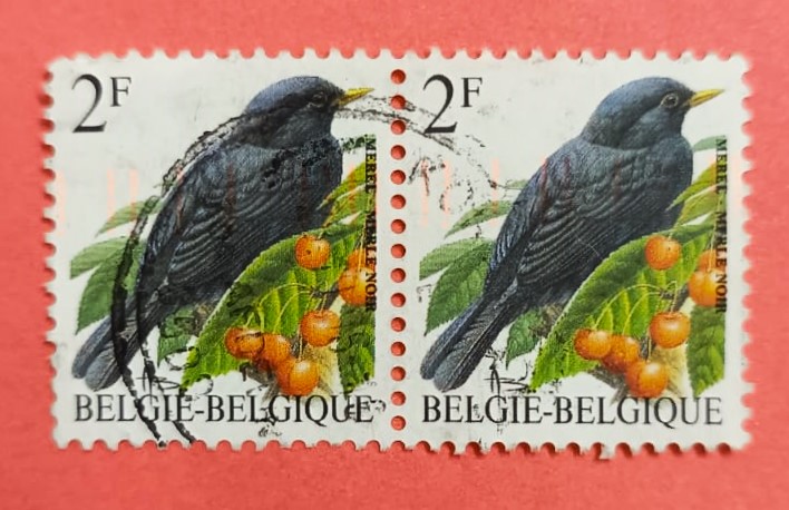 Issue:    Belgium 1992 Merle Noir Stamp Type:   Stamp Number of Stamps:   1 Denominations:    2 F Issue Date:   1992 Issued By:    Bpost, Belgium (Belgique-Belgie)