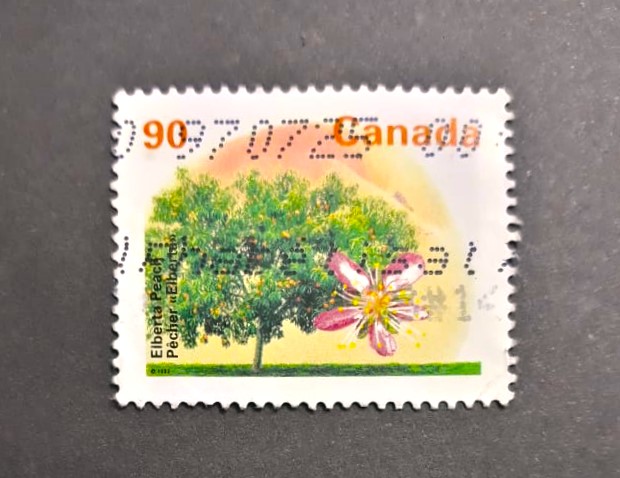 Issue:  Canada Elberta Peach Stamp Type:   Stamp Number of Stamps:  1 Denominations:   90 CA$ Issue Date:   1992 Issued By:   Canada post,
