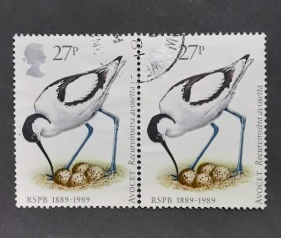 Issue:    UK 1989 Avocet Recurvirostra Avosetta Stamp Type:   Stamp Number of Stamps:   2 Stamps Denomination:   27 P Issue Date:    1989 Issued By:   Royal Mail, United Kingdom (UK)