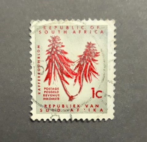 Issue:   South Africa 1961 kafferboom Stamp Type:   Stamp Number of Stamps:   1 Stamps Denomination:   1 C Issue Date:   1961 Issued By:   South Africa POST