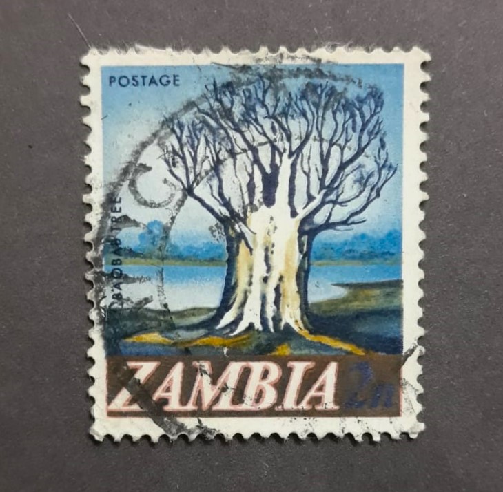 Issue:   Zambia 1968 Baobab Tree Stamp Type:   Stamp Number of Stamps:  1 Denominations:   2 n Issue Date:   1968 Issued By:   Zambia Post
