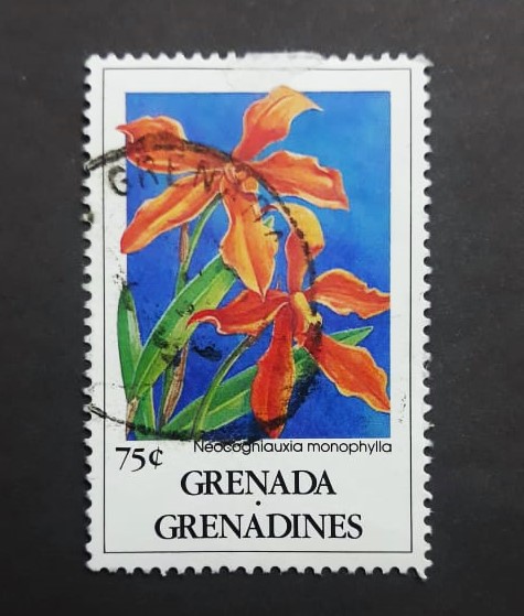 Issue:   Grenada 1991 Neocogniauxia Monophylla Stamp Type:   Stamp Number of Stamps:   1 Stamps Denomination:   75 C Issue Date:   1991 Issued By:   Grenada Post