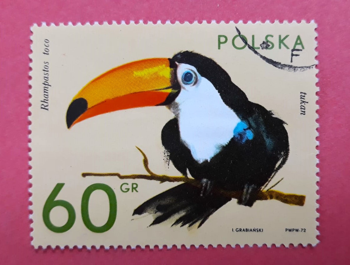 Issue:   Poland Toco Toucan Stamp Type:   Stamp Number of Stamps:  1 Stamps Denomination:   60 GR Issue Date:    Issued By:   Poland POST