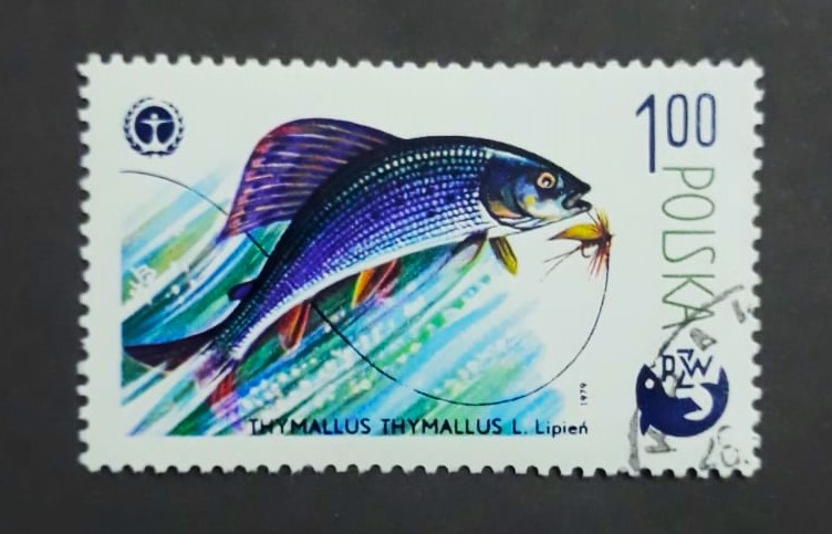 Issue:   Poland 1997 Thymallus Stamp Type:   Stamp Number of Stamps:   1 Stamps Denomination:   100 PZW Issue Date:    1979 Issued By:    Poland POST