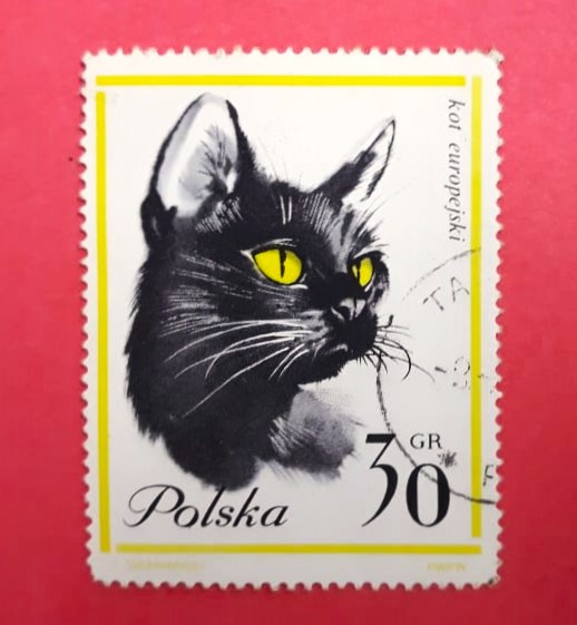 Issue:   Poland 1964 Facing European Cat Stamp Type:   Stamp Number of Stamps:  1 Stamps Denomination:   30 GR Issue Date:   1964 Issued By:   Poland POST