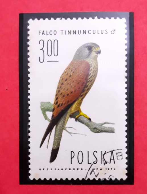 Issue:   Poland 1974 Falco's Jingle Stamp Type:   Stamp Number of Stamps:   1 Stamps Denomination:   200  Zl Issue Date:    1974 Issued By:    Poland POST