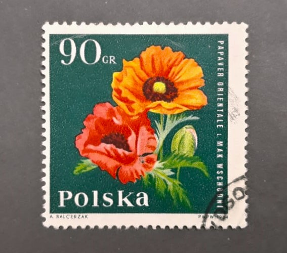 Issue:   Poland 90 GR Papaver Orientale Eastern Poppy Stamp Type:   Stamp Number of Stamps:   1 Stamps Denomination:    90 GR Issue Date:   1964 Issued By:   Poland POST