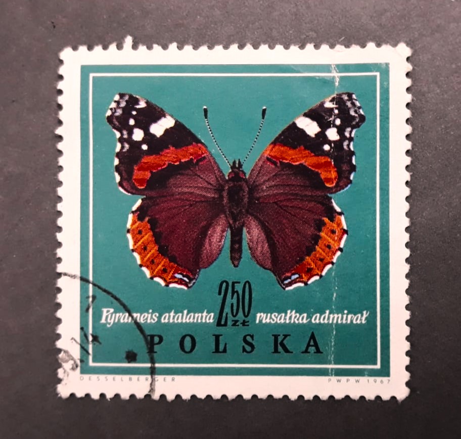 Issue:   Poland 1967 Butterflies Pyrameis Atalanta Rusalka Admiral Stamp Type:   Stamp Number of Stamps:   1 Stamps Denomination:   2.50 ZL Issue Date:   1967 Issued By:   Poland POST