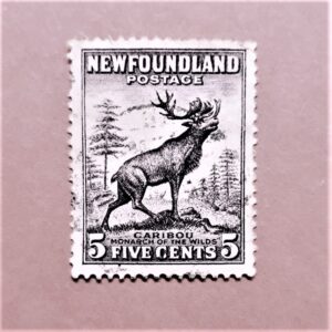 The first postage stamp issued in Canada, featuring a portrait of Queen Victoria. It is known for its black color, giving it the nickname "Black Empress."
