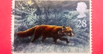 Issue:    UK 1992 Great Britain Winter Time Fox Stamp Type:   Stamp Number of Stamps:   1 Stamps Denomination:   28 P Issue Date:    1992 Issued By:   Royal Mail, United Kingdom (UK)