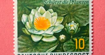 Issue:   Germany Protects the plants 1957 Stamp Type:   Stamp Number of Stamps:   2 Denominations:    10 PF Issue Date:   1957 Issued By:   Germany Deutsche Post ( Deutschland )