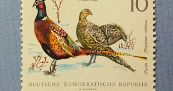 Issue:   Germany Ring Necked Pheasant Stamp Type:   Stamp Number of Stamps:   2 Denominations:   10  PF Issue Date:   1968 Issued By:   Germany Deutsche Post ( Deutschland )
