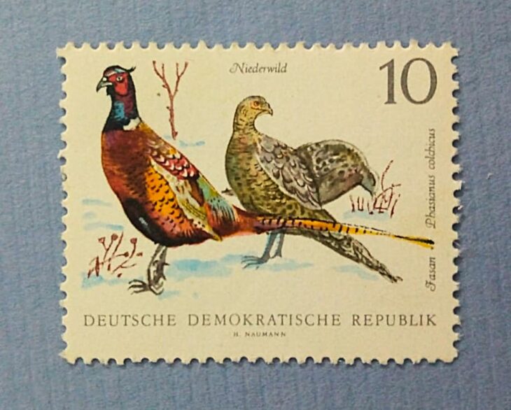 Issue:   Germany Ring Necked Pheasant Stamp Type:   Stamp Number of Stamps:   2 Denominations:   10  PF Issue Date:   1968 Issued By:   Germany Deutsche Post ( Deutschland )