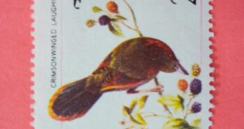 Issue:    Bhutan Crimson Winged Laughingthrush 1968 Stamp Type:    Stamp Number of Stamps:   1 Denominations:   2 C H, Issue Date:    1968 Issued By:    Bhutan Post